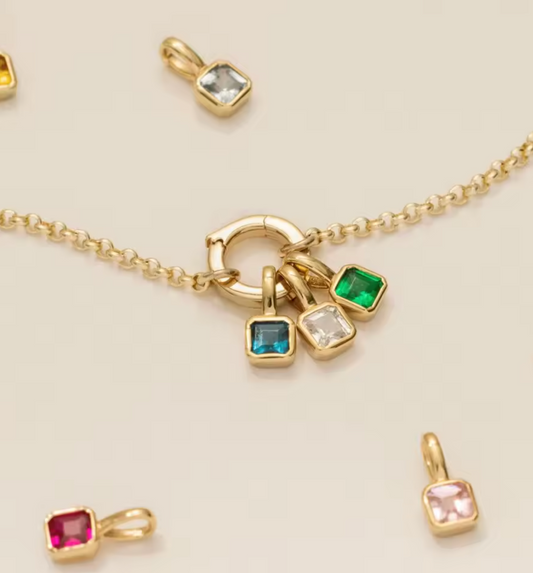 Lifepath Kámen narození – Leden