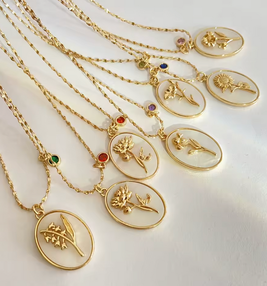 Lifepath Kámen narození – Leden