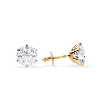 Tera Earring