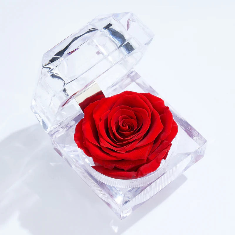 Set de Anillos Savaya